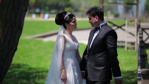 Gelin ve damat 2 — Stok video