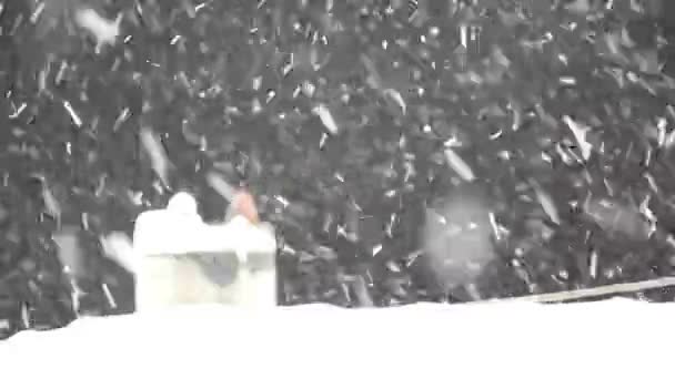Snö faller hd 1080p — Stockvideo