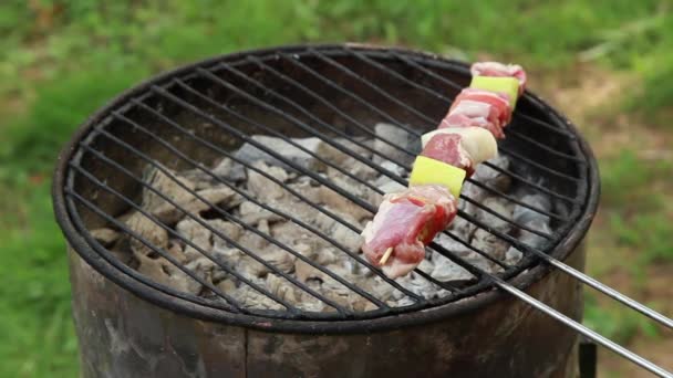 Турецкий кебаб — стоковое видео