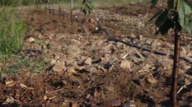 Modern tarım 2 Hd 1080 p