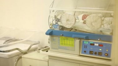 Bebek Hastanesi 2 kuluçka