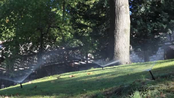 Sprinklers 3 HD 1080p — Stock Video