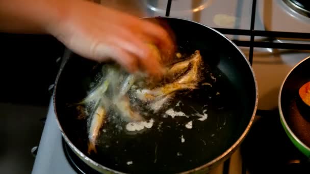 Acciughe cottura del pesce HD 1080p — Video Stock