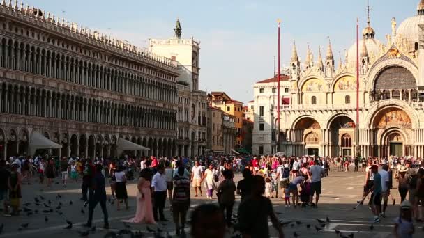 Toeristische bezoeken van Venetië — Stockvideo