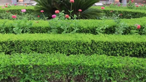 Botanische tuin Palermo — Stockvideo