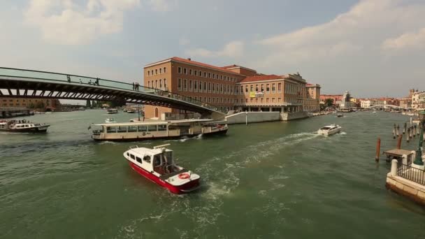 Traffico sul Canal Grande (Canale Grande ) — Video Stock