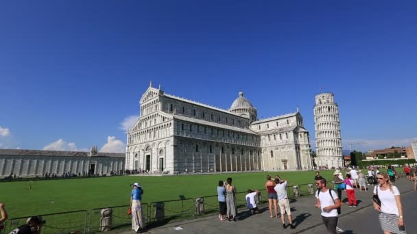 Πύργος Πίζας στην πλατεία των θαυμάτων, Torre di Pisa στο Piazza dei Miracoli — Αρχείο Βίντεο