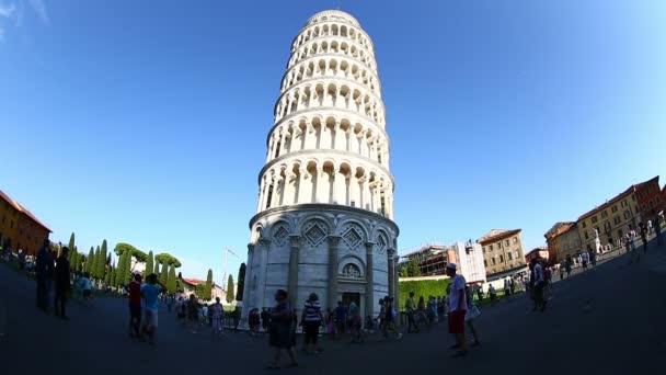 Torre Pisa na Praça dos Milagres, Torre di Pisa na Piazza dei Miracoli — Vídeo de Stock