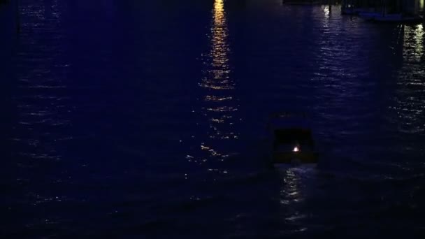 Κυκλοφορίας στο μεγάλο κανάλι (Canale Grande) — Αρχείο Βίντεο