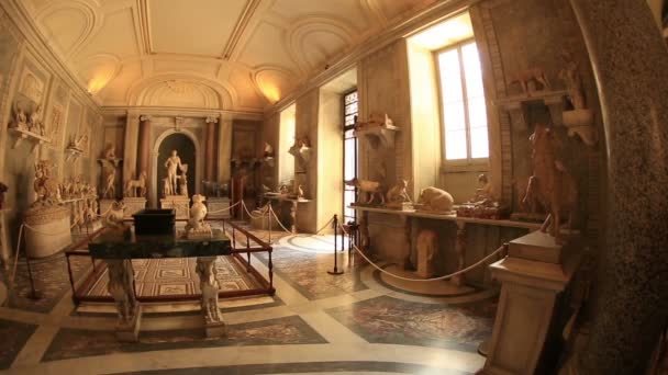 Vaticaanse museum — Stockvideo