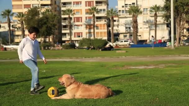 Enfant jouant avec son chien 