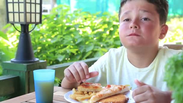 Niño comiendo pizza y papas fritas — Vídeos de Stock