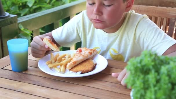 Niño comiendo pizza y papas fritas — Vídeo de stock