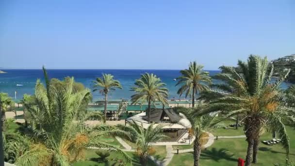 Veduta aerea della bellissima spiaggia e delle palme — Video Stock