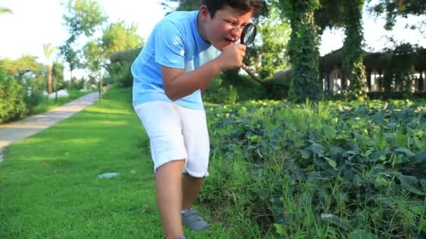 Verkennen van de natuur met Vergrootglas 3 kind — Stockvideo