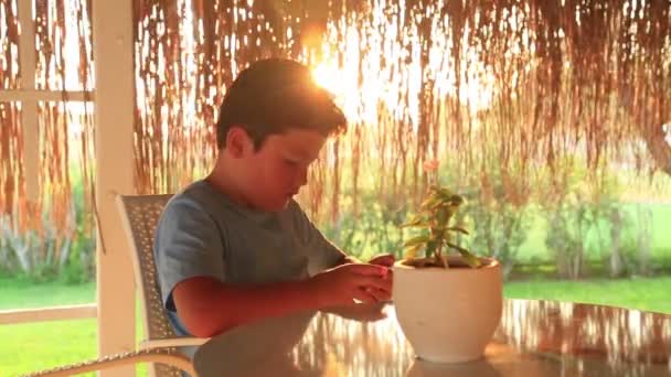 Jeune garçon avec smartphone dans un café d'été — Video