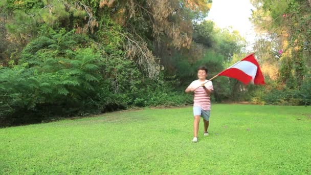Gülümseyen ve dışında Avusturya bayrağı sallayarak küçük çocuk — Stok video