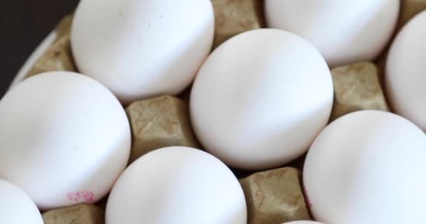 Huevos Gallina Domésticos Frescos Recipiente — Vídeos de Stock