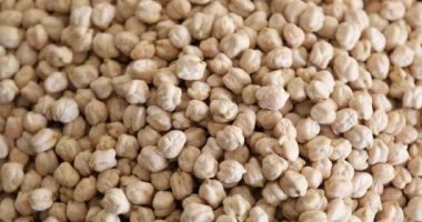 Pişmemiş organik nohut dönüşünün yakın görüntüsü