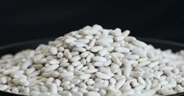 Pile Dry White Bean Legumes Heap Rotating Close Shoot — Stock Video