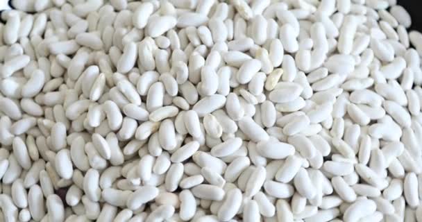 Pile Dry White Bean Legumes Heap Rotating Close Shoot — Stock Video