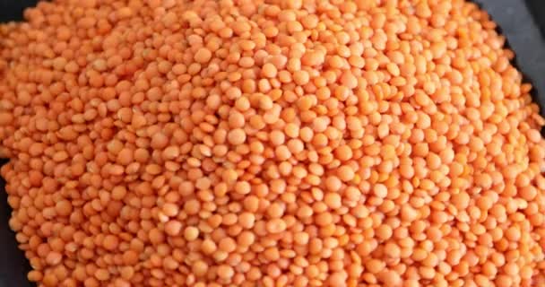 Dry Raw Red Lentils Memutar Close Shoot — Stok Video