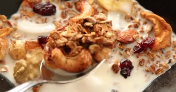 Granola Casera Deliciosa Saludable Con Frutos Secos Surtidos Frutas Secas — Vídeo de stock