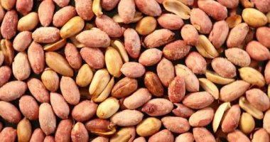 Tuzlu fıstık yakın çekimde dönüyor.