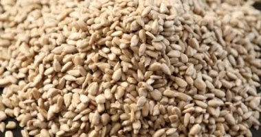 Dönen kabuklu ayçiçeği çekirdekleri üst görünüm yığını