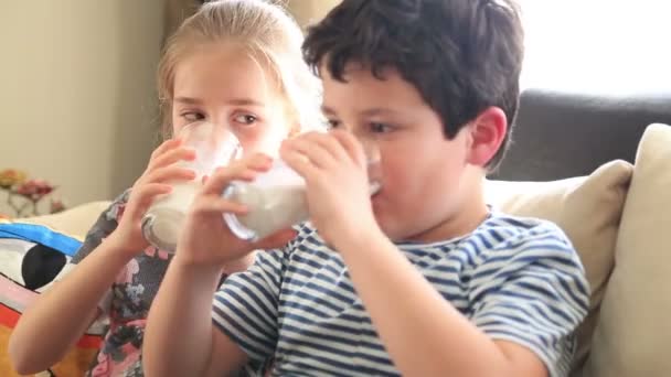 快乐的小的男孩和女孩喝一杯牛奶 — 图库视频影像