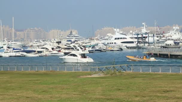 Dubai Marina, Emiratos Árabes Unidos — Vídeo de stock