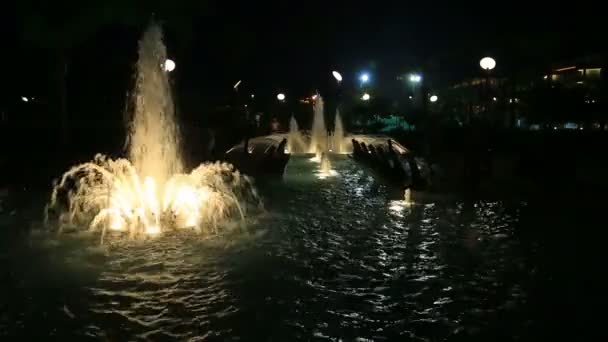 Fontana del parco — Video Stock