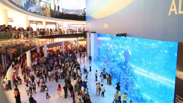 El acuario del centro comercial Dubai 2 — Vídeos de Stock