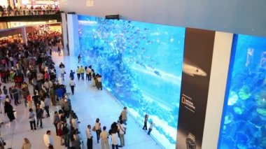 Dubai Alışveriş Merkezi akvaryum