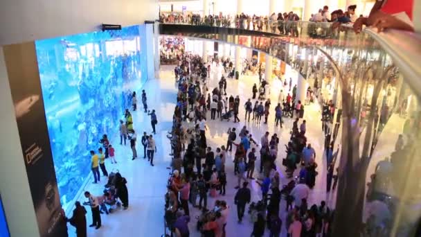 Dubai mall akvárium 5 — Stock video