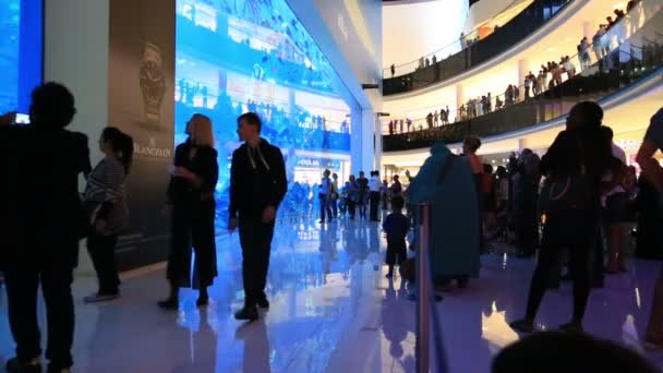 The Dubai mall aquarium 6 — Stock Video
