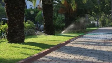 yağmurlama sulama çimen