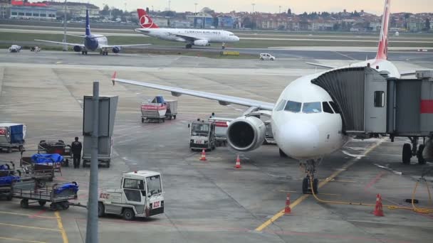 Luggages carregado em um avião — Vídeo de Stock