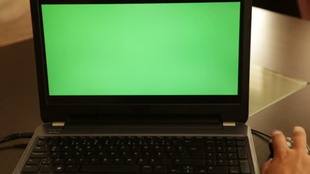 Monitor portatile schermo verde — Video Stock