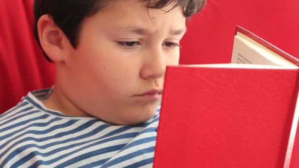 Livro de leitura infantil 2 — Vídeo de Stock