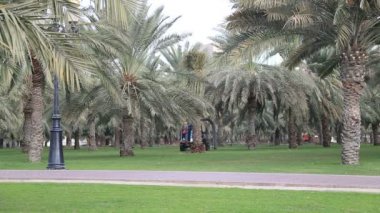 Elektrik süpürgesi.