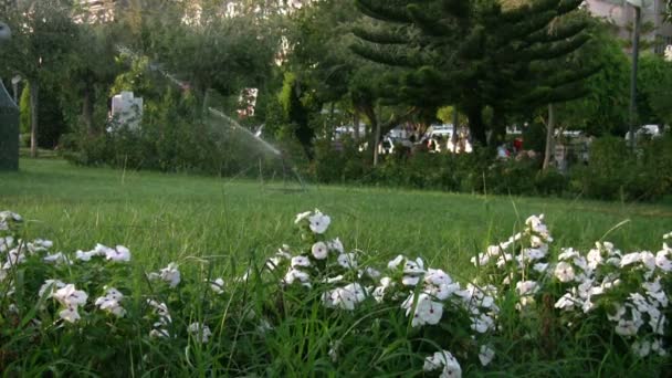 Gras sprinkler drenken — Stockvideo