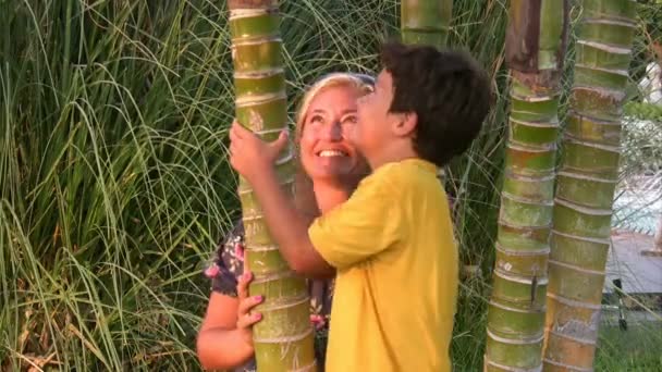 Mãe e filho relaxando tempo no parque — Vídeo de Stock