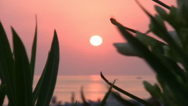 Matahari terbenam yang indah di garis pantai Laut Mediterania — Stok Video