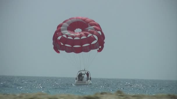 Parasailing — Stok video