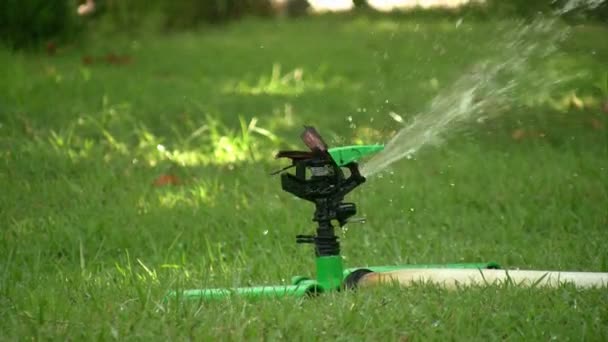 Gras sprinkler drenken — Stockvideo