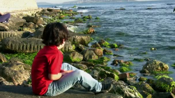 Kleine jongen spelen aan de kust — Stockvideo