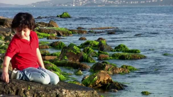 Kleine jongen spelen aan de kust — Stockvideo