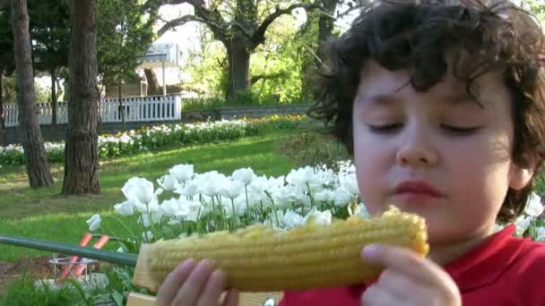 Маленький мальчик ест кукурузу — стоковое видео