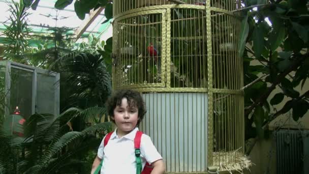 Μικρό αγόρι στο ζωολογικό κήπο — Αρχείο Βίντεο